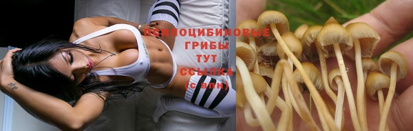 кокаин премиум Заполярный
