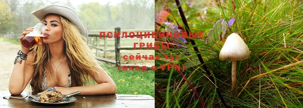каннабис Нефтекумск