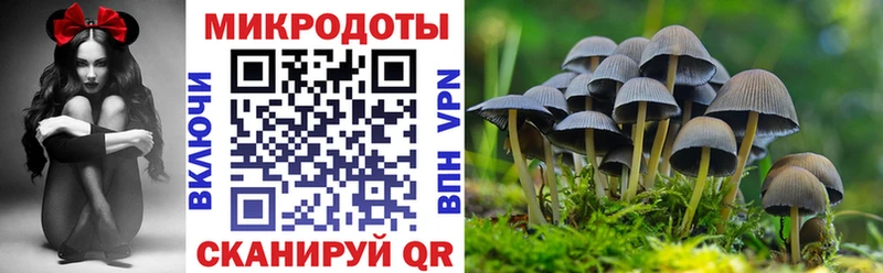 Псилоцибиновые грибы Cubensis  ОМГ ОМГ онион  Питкяранта  наркота 